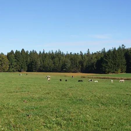 Private Escape - Ideal For Up To 8 Guests Nyaraló Seeham