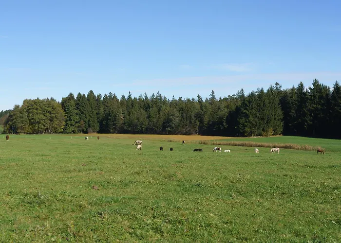 Private Escape - Ideal For Up To 8 Guests Vakantiehuis Seeham